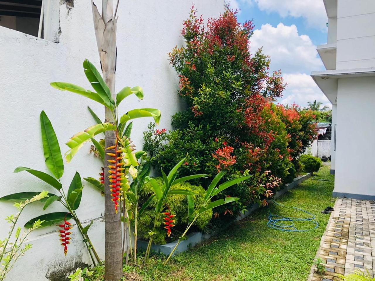 Vidushi Home Minuwangoda Exterior foto